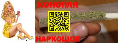 прущие грибы Нальчик