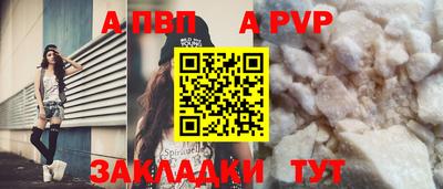 прущие грибы Нальчик