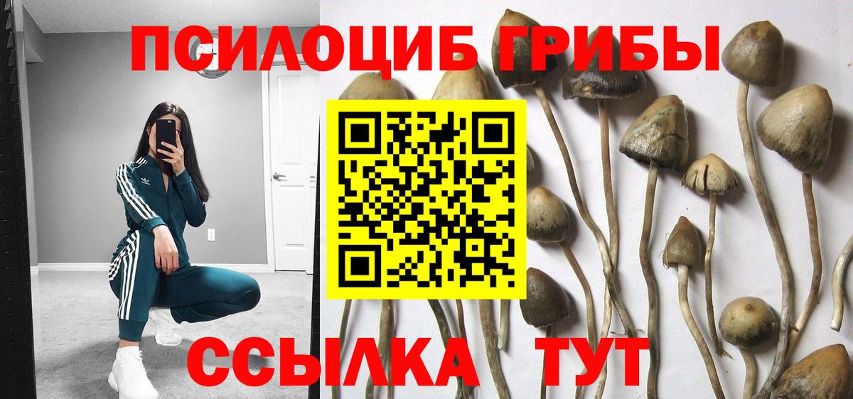 Псилоцибиновые грибы мухоморы  Вход с VPN  наркота  Среднеуральск 